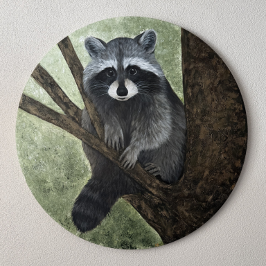 Racoon
